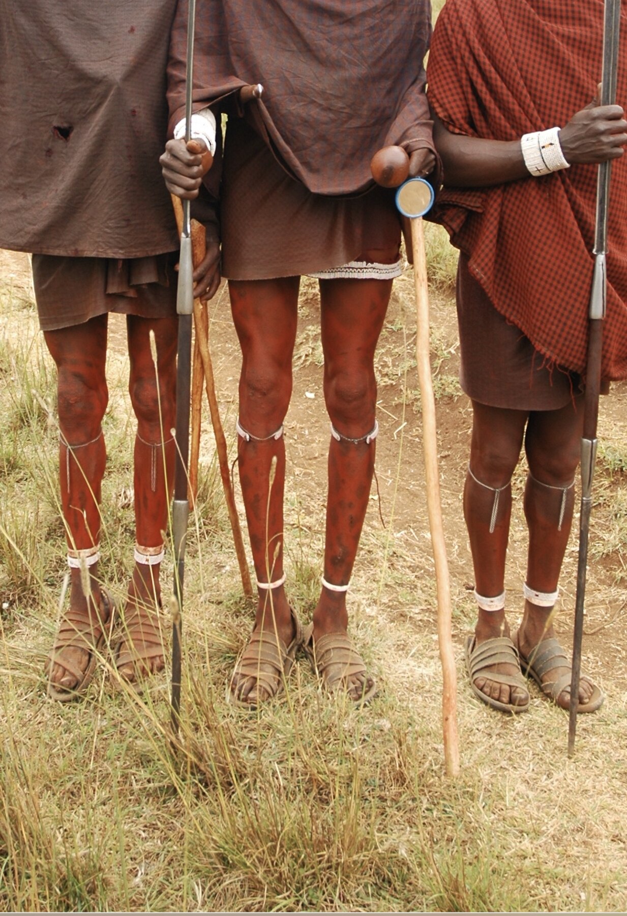 Three Maasai people with spears, beaded bands and ochre on their legs, Tanzania savanna