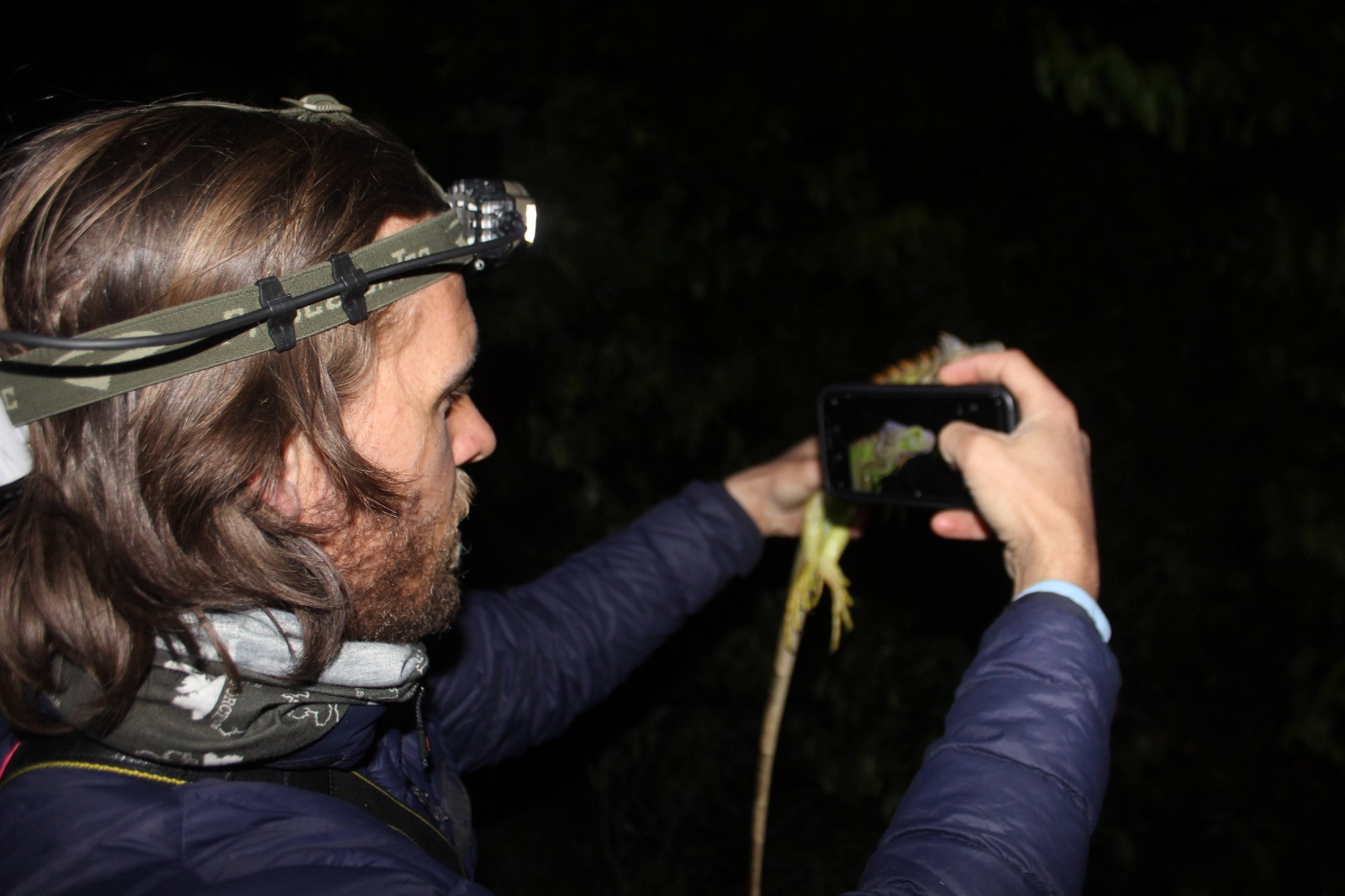 Jesse conducting herpetological field research at night with a headlamp