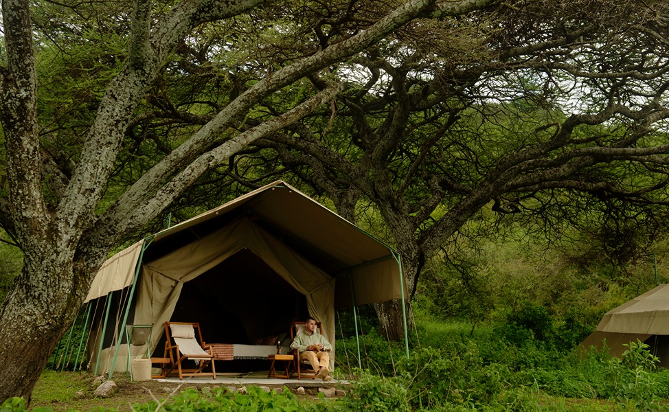 Esirai camp in the trees