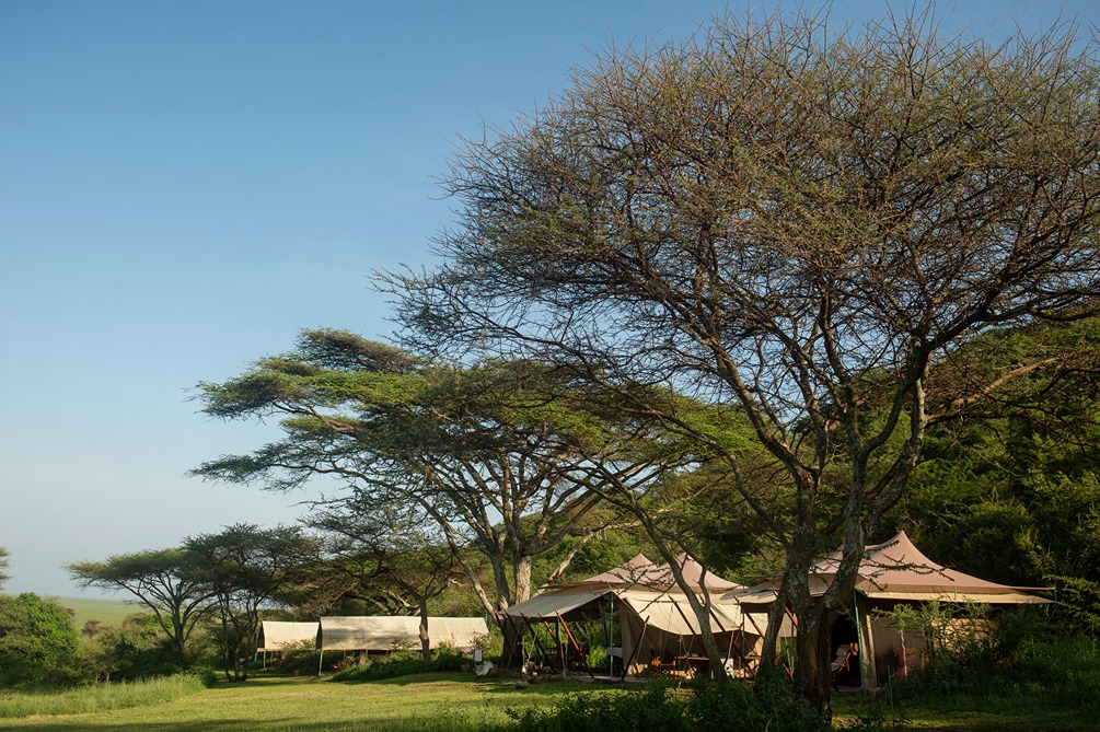 Wildlife near Esirai Camp