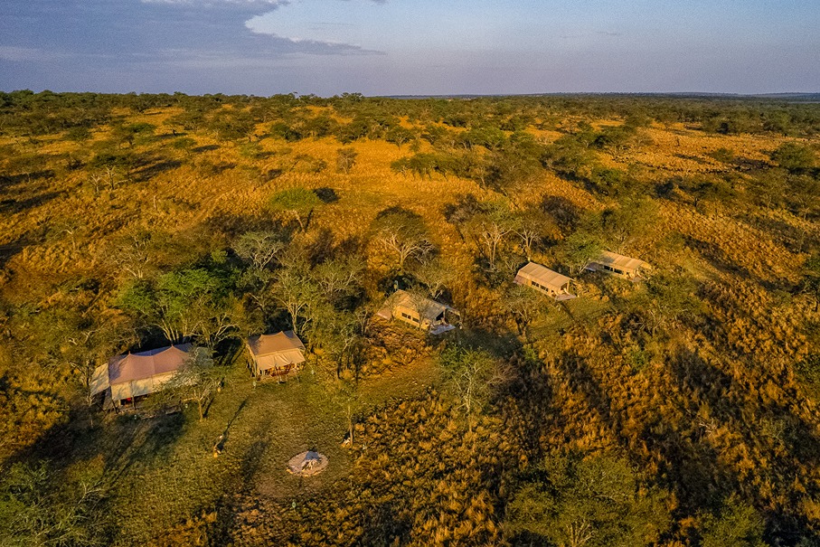 Ndutu plains