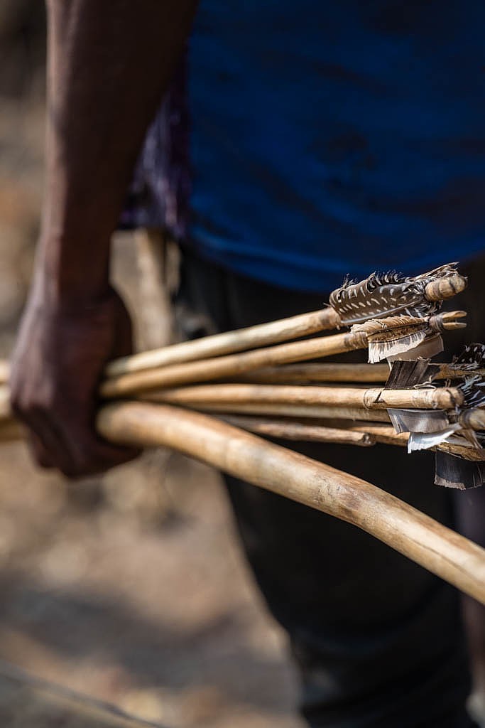 Hadzabe arrows carried by hand in Tanzania