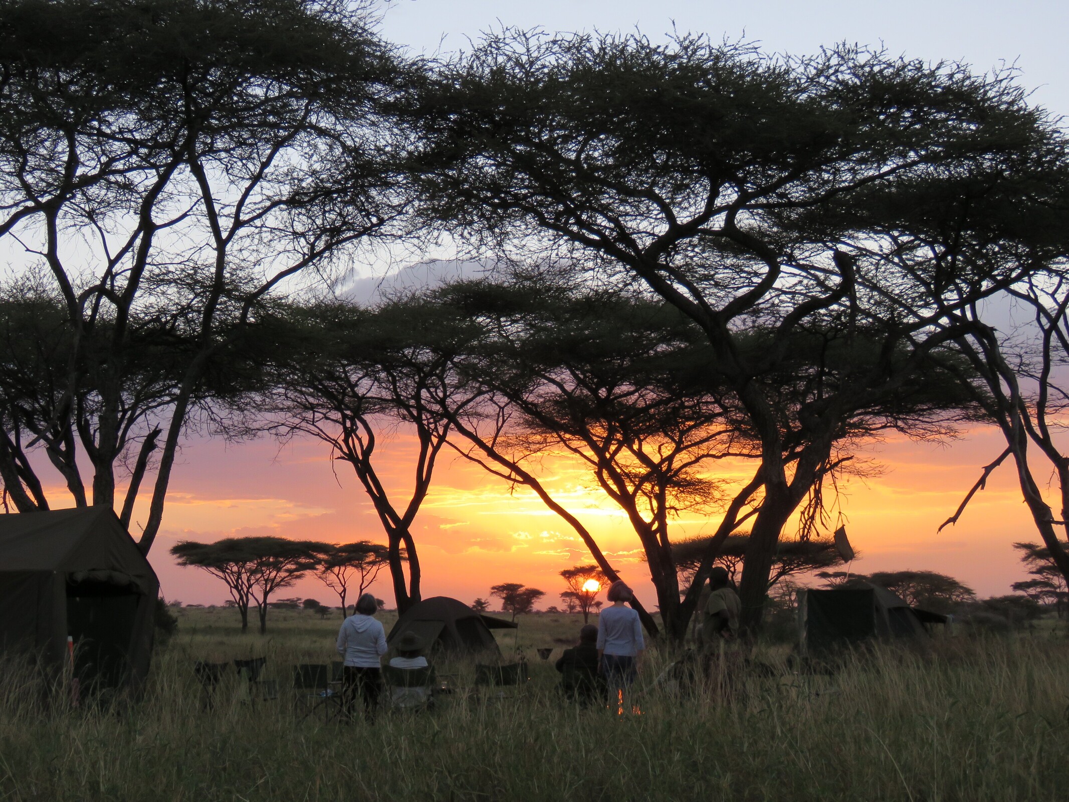 Dorobo Pioneer Camp