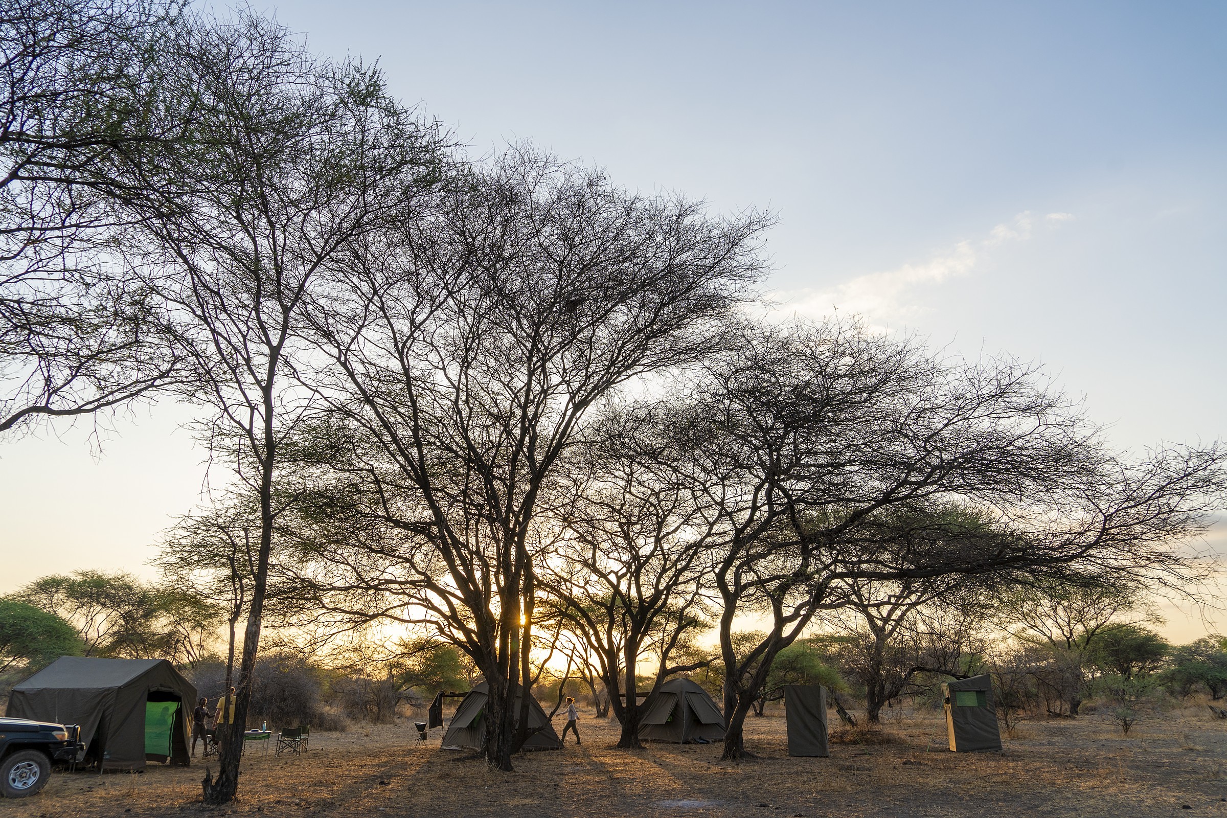 Pioneer Camp in the bush
