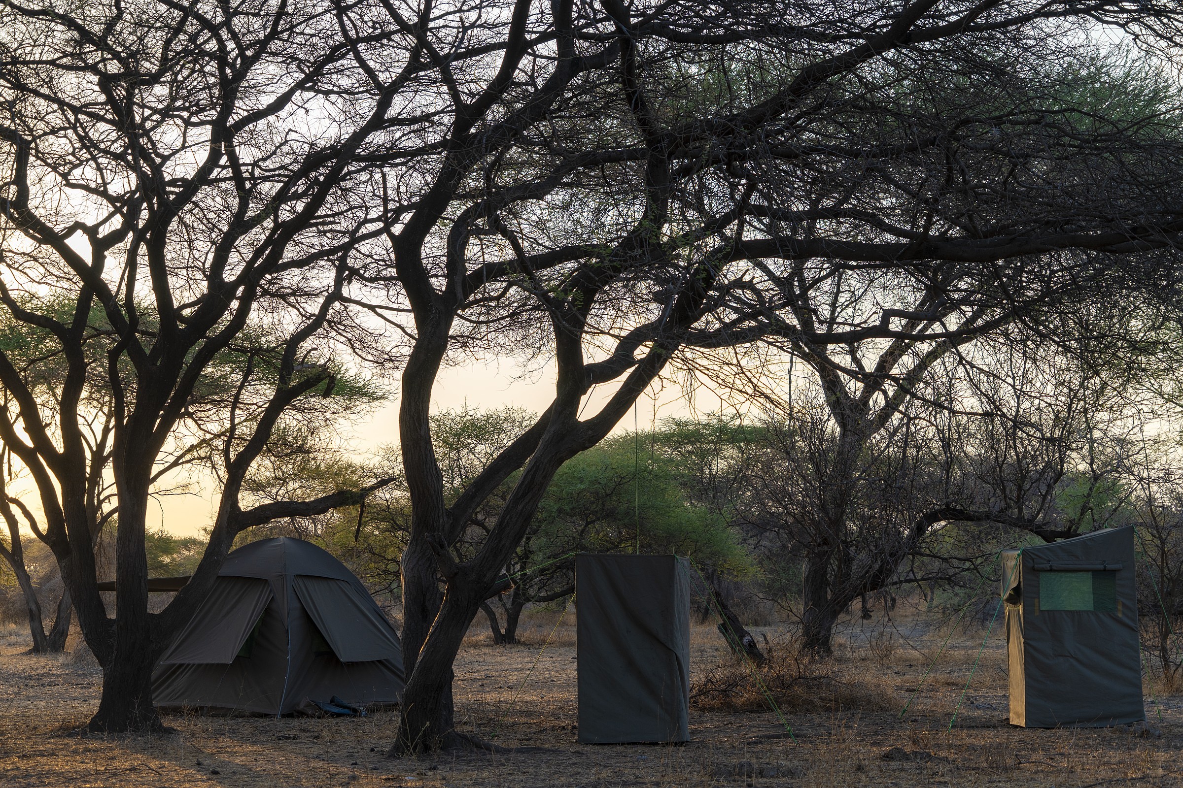 Manyara Ecosystem, Tanzania