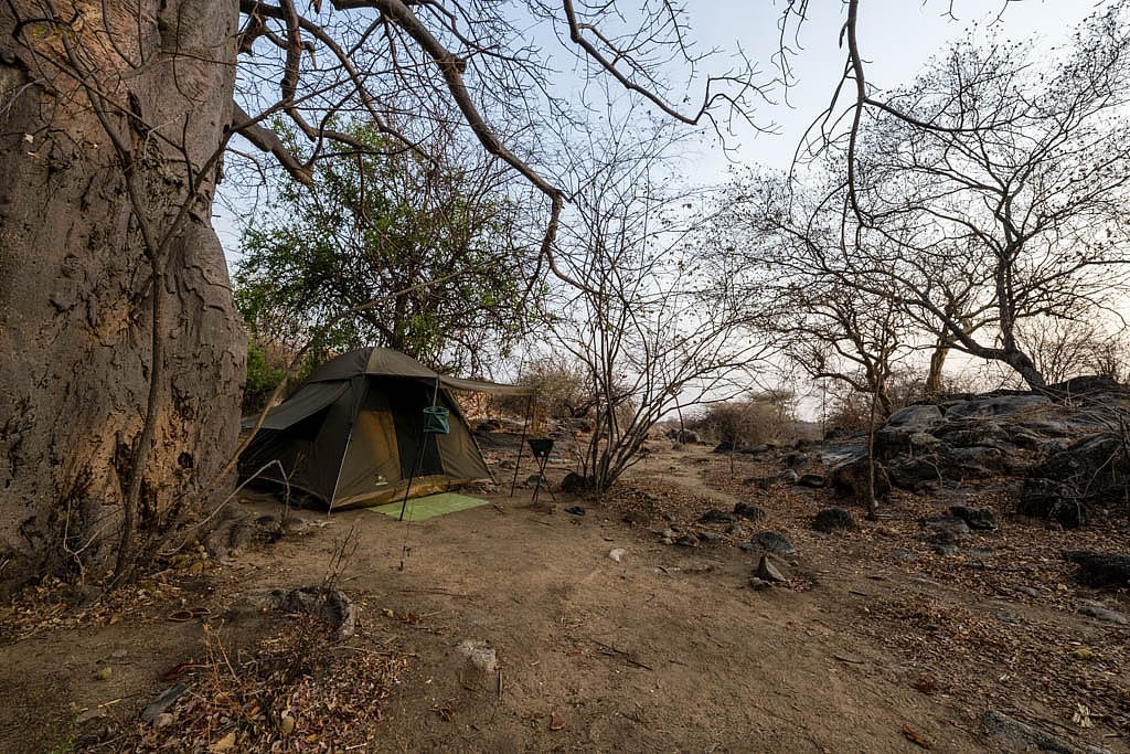 Morning at Pioneer Camp